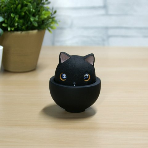 黒猫・おちょこっ巣