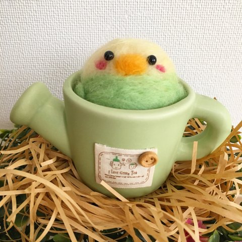 幸せを運ぶセキセイインコinジョウロ