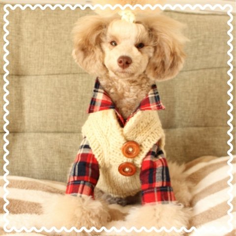 ★tammy's craft 写真館～ネルシャツ 重ね着コーデ編～ その2 犬服