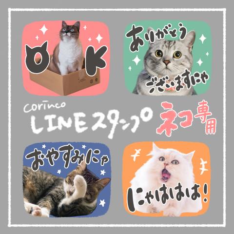 猫ちゃん専用！オリジナルLINEスタンプ｜56種類から選べる｜シンプル｜ペット｜ねこ｜ネコ｜猫｜corinco