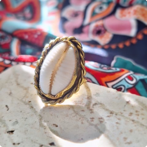 【14～15号】カウリーシェル ring 真鍮 貝殻 タカラガイ /大ぶりリング