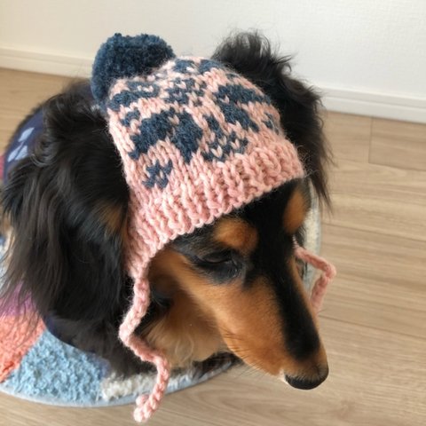 展示のみ【19AW#18】小さめ　犬用ニット帽