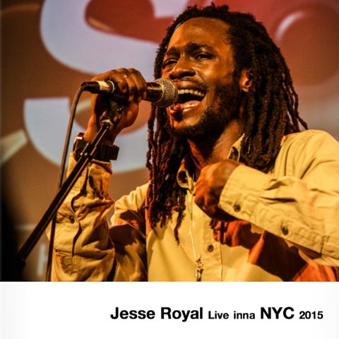 JESSE ROYAL LIVE INNA NYC 2015 デジタルフォトブック