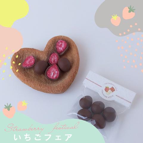 ミニチュア　いちごチョコ(ミルク)🍓🍫ハートのお皿