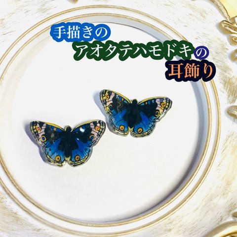 手描きのアオタテハモドキの耳飾り　サージカルステンレス　ピアス　イヤリング