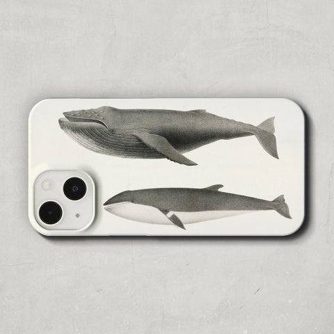 スマホケース / チャールズ・メルビル・スカモン「ザトウクジラとミンククジラ (1872)」 iPhone 全機種対応 くじら クジラ 鯨 アンティーク レトロ