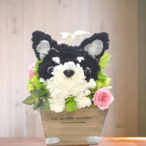 フラワーペット【チワワ 黒】プリザーブドフラワー  ブラックタン  犬 動物 花 ペット 誕生日 お供え 母の日