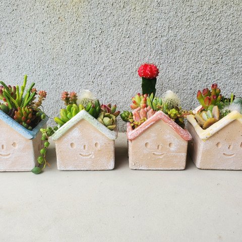 🆕happinessなおうちポット♡多肉植物orサボテンの寄せ植え🏡