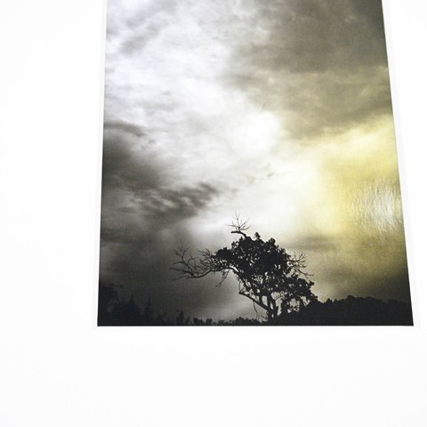 『曇光の日』　大きいサイズ　額付き　写真　そのまま飾れる　アート　インテリア