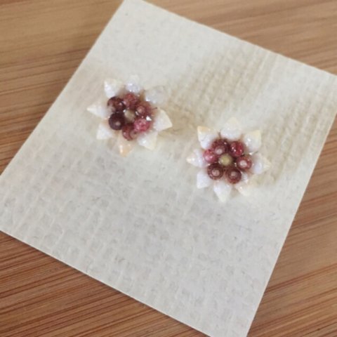 Hawaii Momi and Kahelelani Shells Flower 01