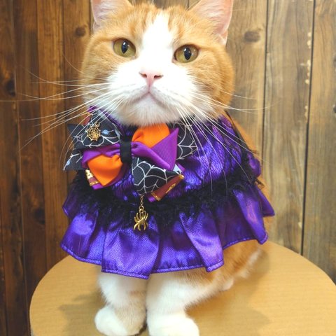 猫服ケープ　ハロウィン(紫)