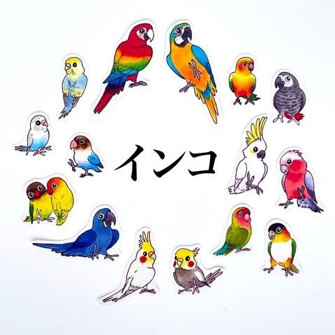 【シールフレーク】色とり鳥のインコちゃん 20種 40枚入