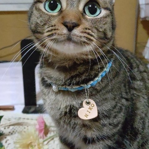 猫ちゃん用･首輪(チョーカー)合皮  a