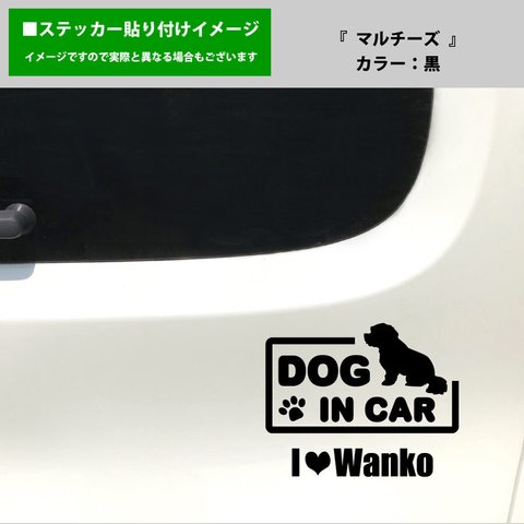 かわいい マルチーズ 犬 ドッグインカー dog in car 車 ステッカー シール