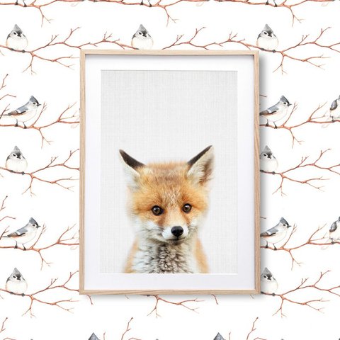 A4 アートポスター 「狐の赤ちゃん」　おしゃれ インテリア 雑貨 アニマル 北欧