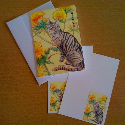 グリーティングカード封筒付き＋絵ハガキ2枚セット 猫 紅花（べにばな） 和風水彩イラスト