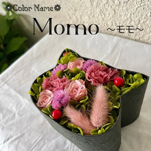 こねこばこ「Momo～モモ～」オリジナル猫型フラワーボックス miniサイズ プリザーブドフラワー
