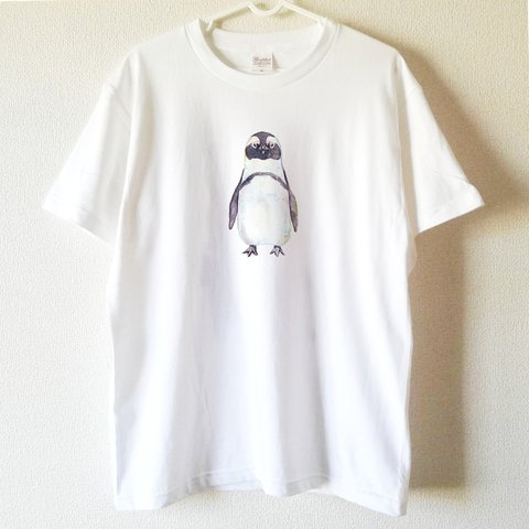 【送料無料】ケープペンギンのシンプルTシャツ～子供から大人までみんなで使える13サイズ～