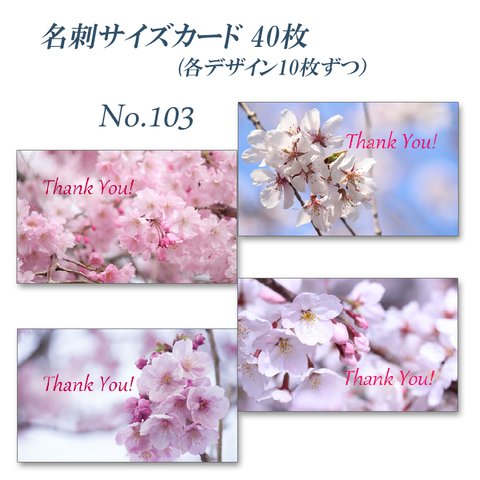 No.103 春爛漫の桜たちのカード　　名刺サイズサンキューカード   40枚