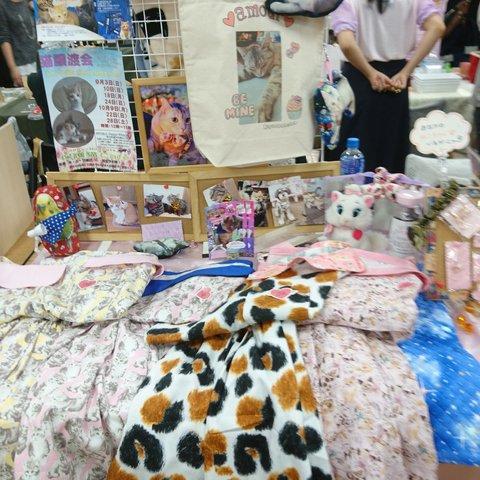 ねこ柄のセットアップ🐱👗