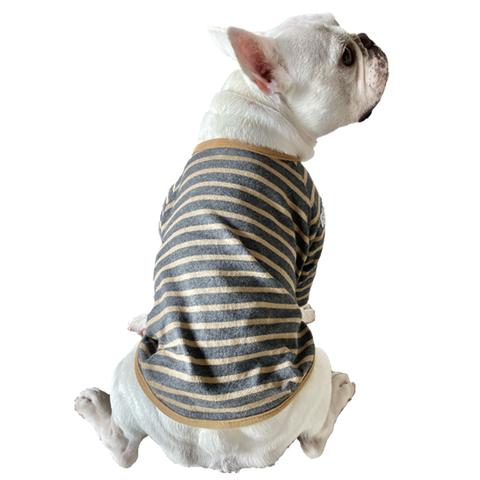 フレンチブルドッグ　フレブル　犬服　天竺ボーダーTシャツ　暑さ対策