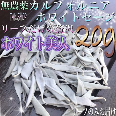 最上級 カルフォルニアホワイトセージ リーフ20g プレゼント付✴︎箱にて発送