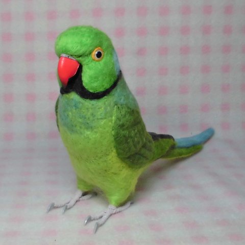 ライフサイズ ワカケホンセイインコ  life size ring-necked parakeet  羊毛フェルト★ルチノーやブルーに変更可能   受注制作　うちの子オーダー可　工房小鳥屋さん