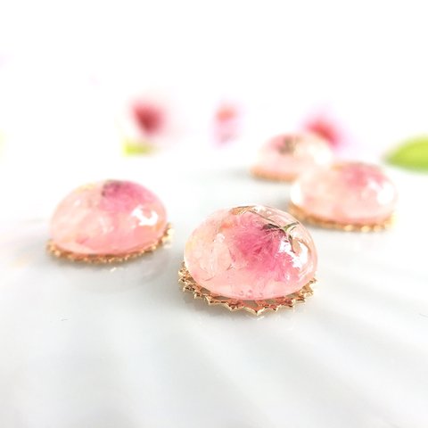 《特集掲載》ぷるぷる桜ゼリー ピアス(イヤリング) 桜 ゼリー フェイクスイーツ 和菓子 春 ピンク