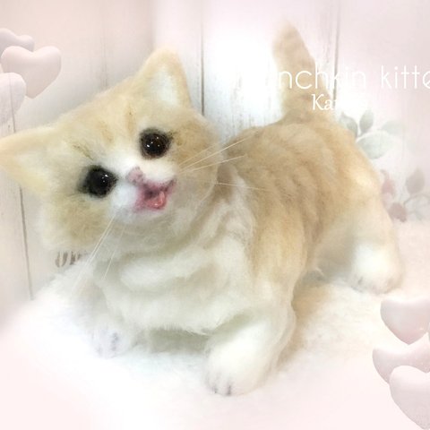 マンチカン 子猫　可動　猫　ぽてぽて　ころころ　むちむち　羊毛フェルト　アートドール