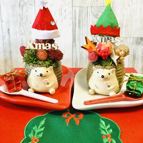 クリスマスハリネズミ🦔🎄ホワイトタイプ