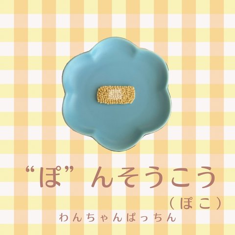 ばんそうこうぱっちん　（ぽこ）