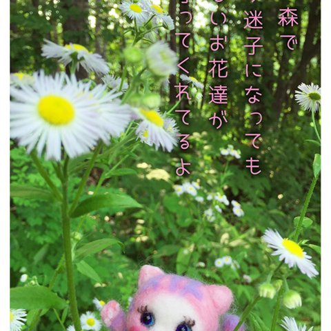 A22にゃん🐈  森の癒し🌷メルティカカード🌷🍓2枚で1セット🍓