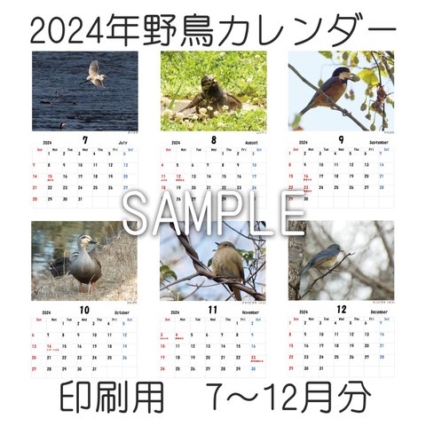 【印刷用】2024年（7～12月分）野鳥カレンダー