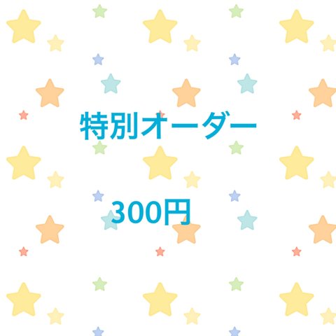 特別オーダー　追加料金分