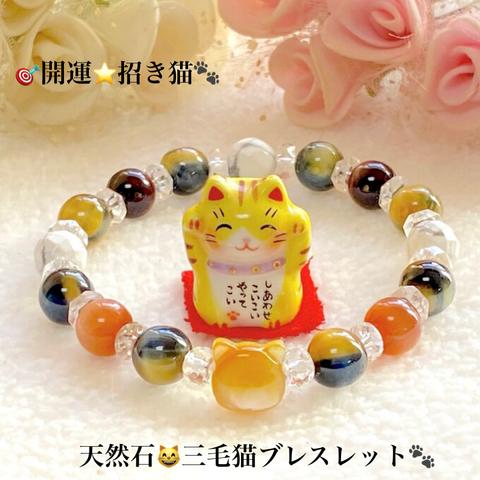 🤎三毛猫😽幸運招き猫⭐3種MIXタイガーアイ🐯Jewelry天然石ブレスレット💫