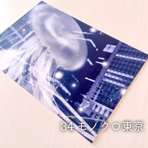 【きのくら屋】34 クラゲのポストカード『モノクロ東京』