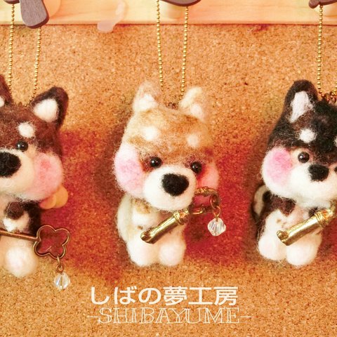 魔法使いの柴犬さんとお出掛け（イベント販売）