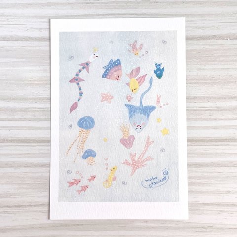 透明水彩画 「小さな水族館」 ポストカード2枚セット　絵ハガキ　海　魚　かわいい　癒し　インテリア