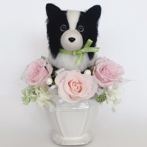 12700円〜【オーダーメイド】ボーダーコリーのプリザーブドフラワーアレンジメント（ホワイト&ピンク）　犬　母の日　花　お祝い　プレゼント　ギフト　おしゃれ　