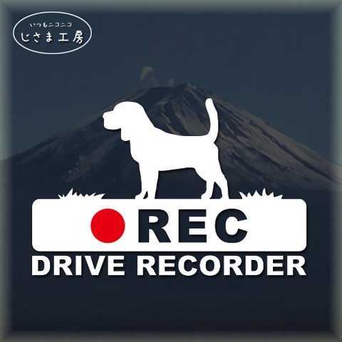 ビーグル犬の白色シルエットステッカー‼後方注意‼『DRIVE　RECORDER』