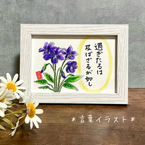 ＊言葉イラスト＊「過ぎたるは及ばざるが如し」スミレの花　水彩画　原画