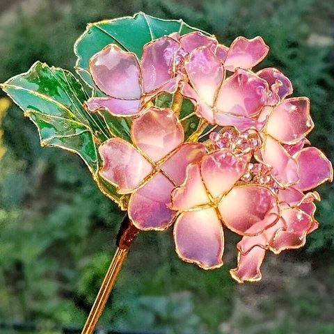 紫陽花  ～ピンクダイアモンド～