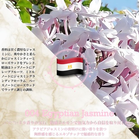 004：エジプシャン･ジャスミン /Egyptian Jasmine 　(試香用サンプル配布)　＊香り詳細と商品紹介＊