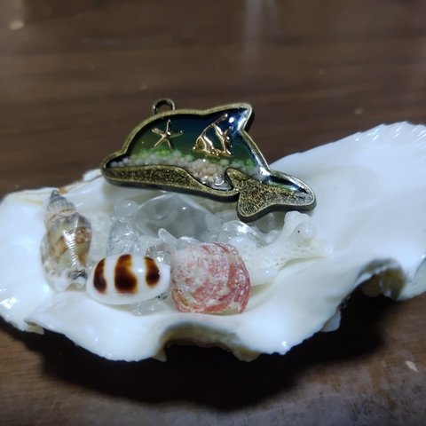 海塗りイルカのキーホルダー