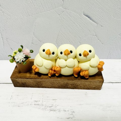 ひよこちゃんズの休憩　ひよこ展2023 ひよこ　ヒヨコ　小鳥　オブジェ　インテリア雑貨　フィギュア　鳥　ミニチュア　ウェルカムスペース　結婚式　ブライダルグッズ　癒しに　プレゼントに　玄関先に　ギフト