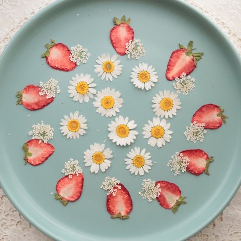 押し花苺と小花セット