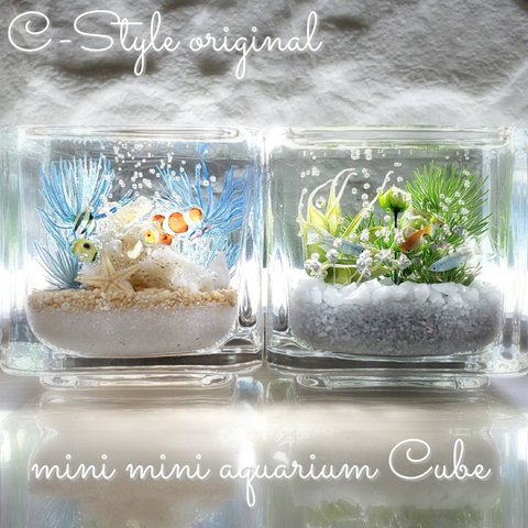 可愛い 海ハーバリウム  ～mini mini aquarium CUBE～