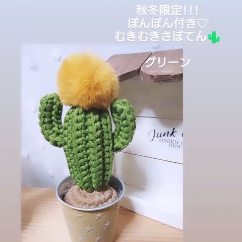 秋冬限定!!!むきむきさぼてん🌵グリーン