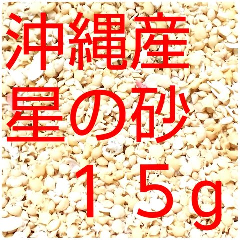 沖縄県産星の砂  １５g ［星砂］送料無料