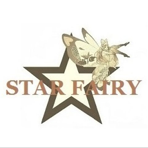 STAR FAIRY リング 新作のご案内